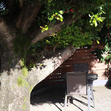 Reef View Bnb East London Extérieur photo