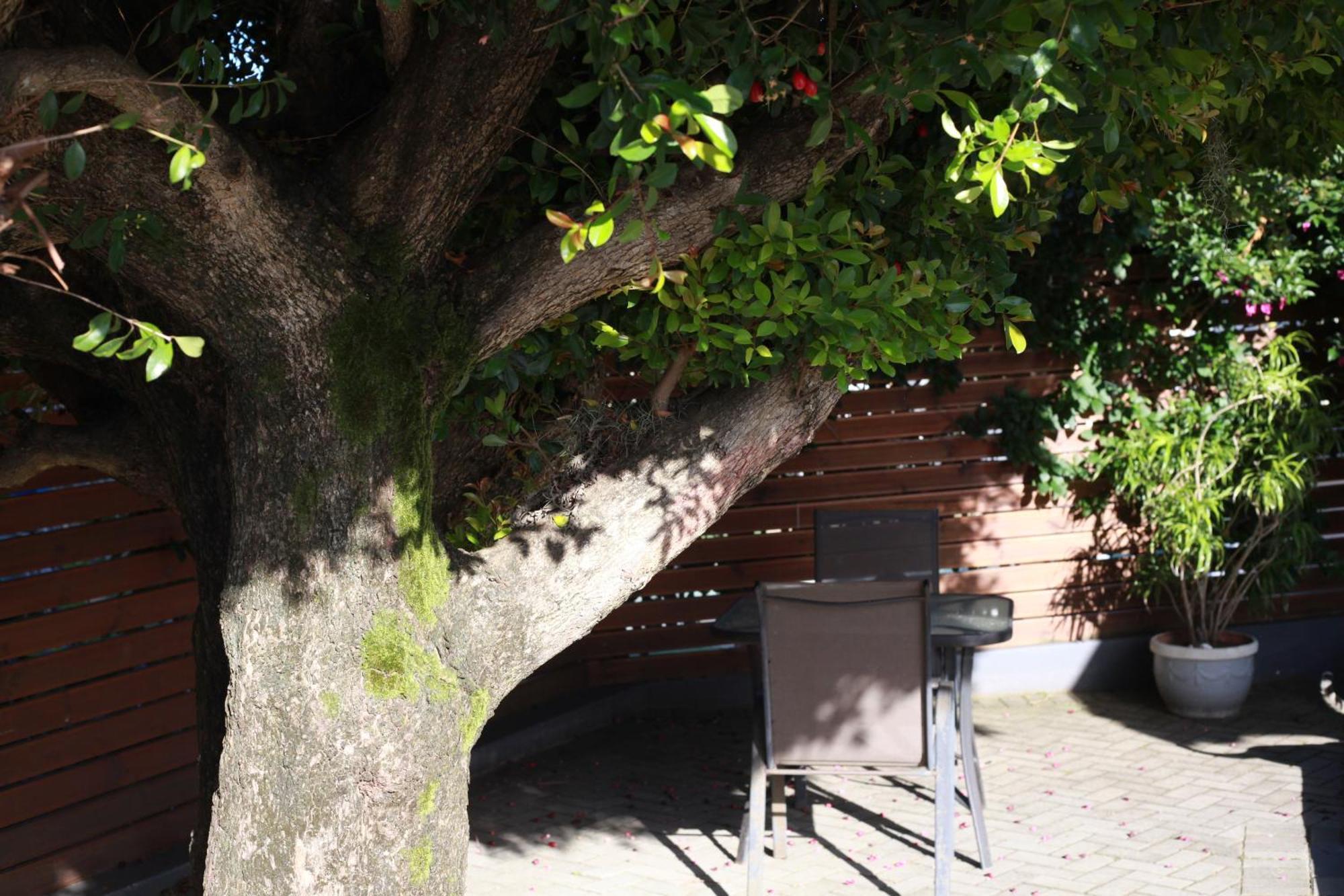 Reef View Bnb East London Extérieur photo
